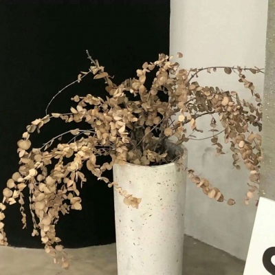 Furry绘画构图技巧兽圈群